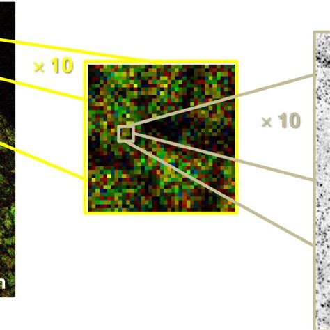 Figure S12 Example Of Image From Fluorescence Lifetime Microscopy With