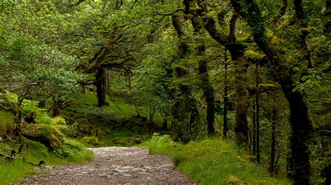 A Backpacker's Life: Killarney National Park