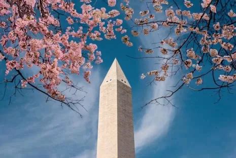 Your Washington, DC Winter Bucket List | Washington DC