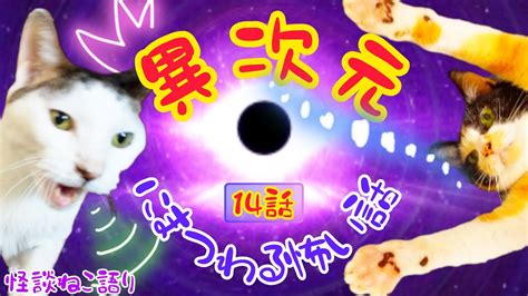 【怖い話】【猫が語る不思議な話】【猫動画】怪談ねこ語り 異次元にまつわる怖い話14話 Youtube