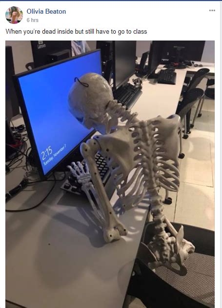 Meme of the Week: The Question of Student Skeletons – The Hofstra Chronicle