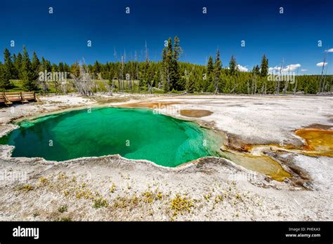 Hot Thermal Spring In Yellowstone Stock Photo Alamy