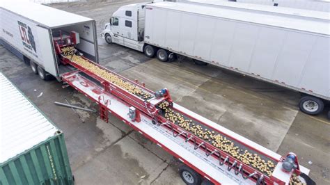 Convoyeur de pommes de terre 1300 Spudnik Equipment Company LLC à