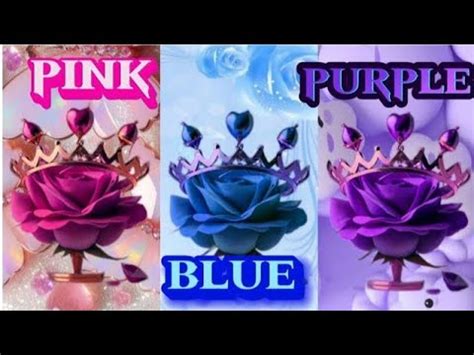 Choose Your Gift Gift Box Challenge Blue Vs Pink