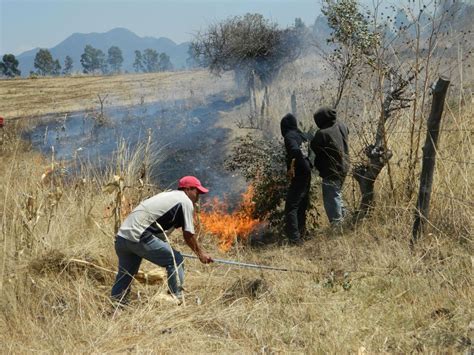 El Cuexcomate Uso Del Fuego En La Agricultura Tradicional