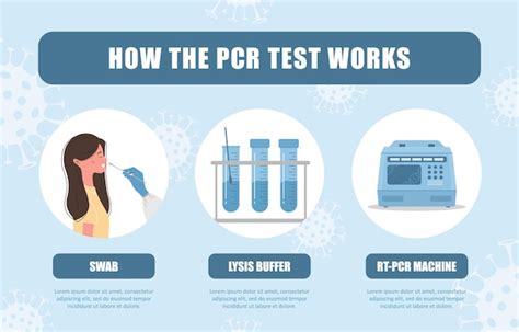 Premium Vector How Pcr Test Works Covid 19 Testing Infographic