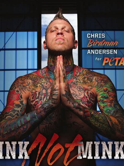 《舊將何在？》金塊 Chris Andersen 折不斷的七彩翅膀 Nba 籃球 運動視界 Sports Vision