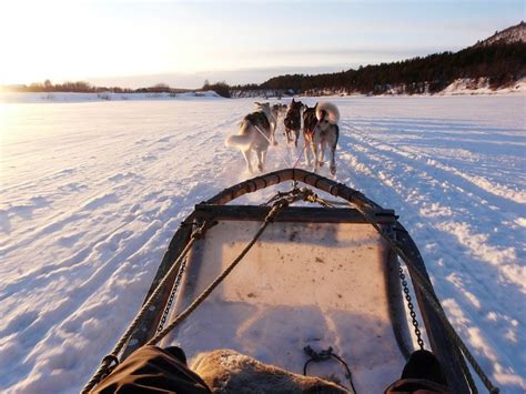 L odyssée sauvage de Nicolas Vanier Documentaire 2014 Télé Star