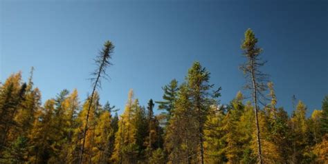 4 Go-To Paddling Destinations for Fall Foliage | Saranac Lake, Adirondacks, New York