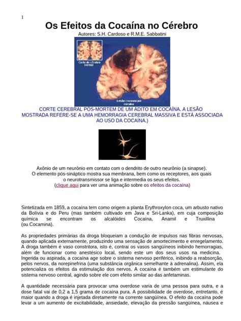 Qual Efeito Da Cocaina - Efeitos da Cocaína no Cérebro Humano | PDF | Cocaína | Sinapse