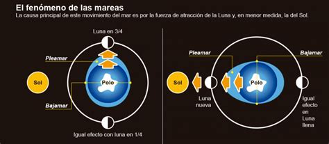 La Luna Y Su Efecto Sobre Las Mareas Biocuriosidades