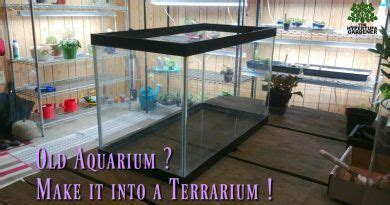 Convert An Old Aquarium To A Terrarium Fish Tank Terrarium