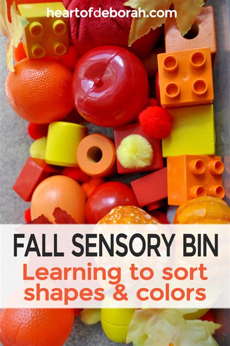 Fall Sensory Bin for Toddlers! Teach Your Toddler to Sort Shapes & Colors