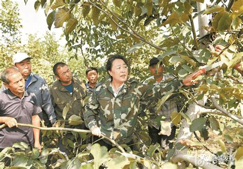 【撸起袖子加油干 风雨无阻向前行】郭素萍：扎根太行助农情开发产业河北省