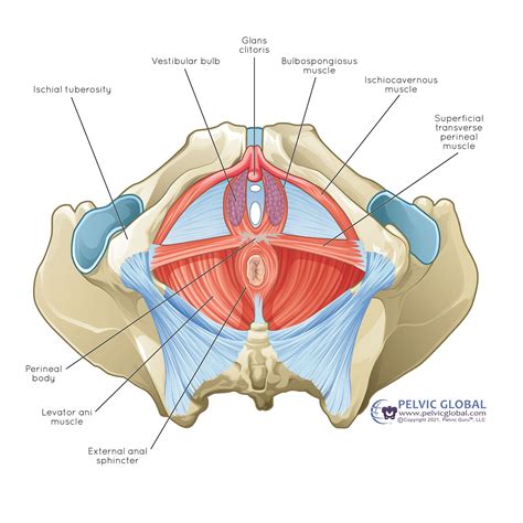 How To Know If You Have Vaginismus Signs And Symptoms