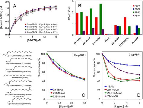 Ligand Binding Assay Of Csuppbps A Binding Curves Of 1 Npn To