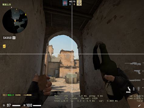 Csgo T B