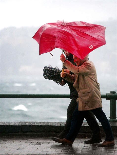 Meteo Emilia Romagna Allerta Per Venti Forti E Raffiche Di Burrasca