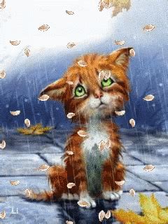 Raining GIF - Raining - Discover & Share GIFs