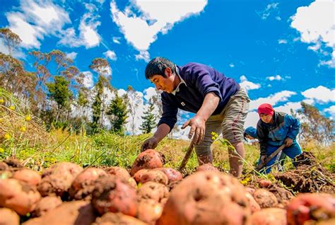 AGROBANCO DESDE SU FUNDACIÓN HA OTORGADO MÁS DE S 6 MIL MILLONES EN