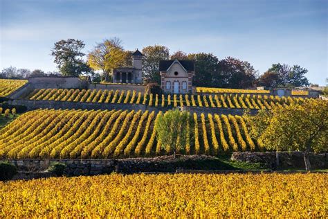 5 Of The Best Wine Regions Of France Musement Regions Of France France Wine Wine Region