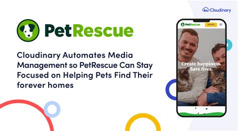 Automation Frees Up Petrescues Staff To Help Pets Find Their Forever Homes