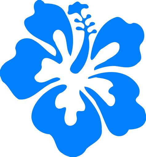 Hibisco Azul Tropicales · Gráficos Vectoriales Gratis En Pixabay