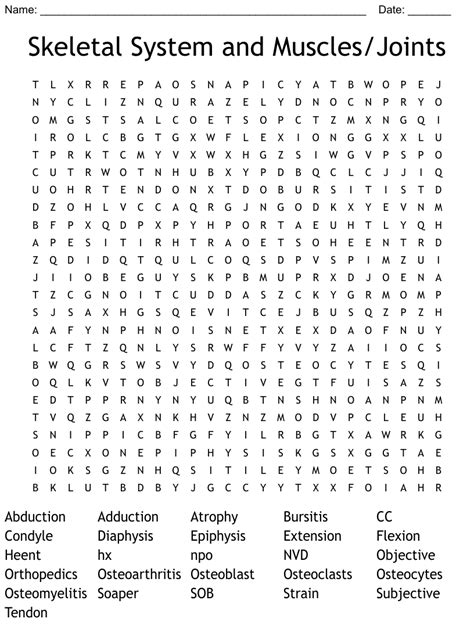 Skeletal System And Muscles Joints Word Search Wordmint