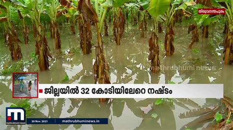 ശക്തമായ മഴ തിരുവനന്തപുരത്ത് കോടികളുടെ കൃഷിനാശം Kerala Mathrubhumi Tv