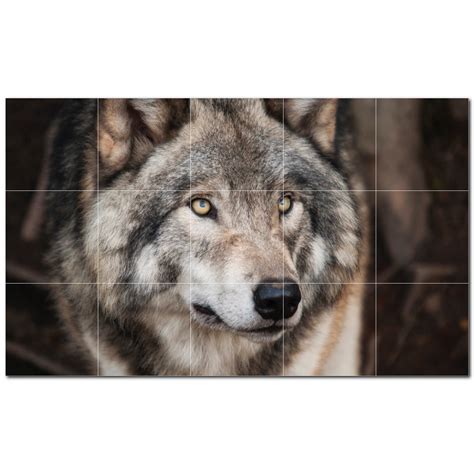 Picture Wolf Photo 12 X 12 Satin Ceramic Decorative Mural Wayfair