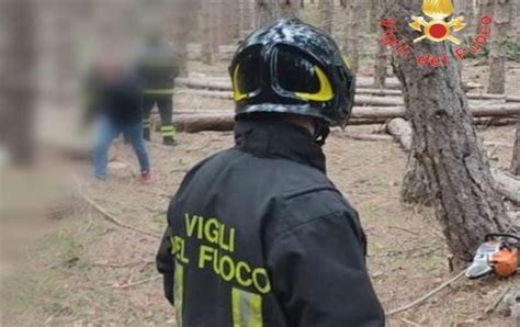 Tragedia A Luzzi Giovane Boscaiolo Muore Schiacciato Da Un Grosso