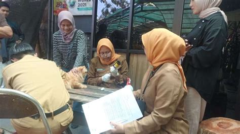 Peringati Hari Rabies Sedunia DKPP Bandung Gelar Vaksinasi Hewan Gratis