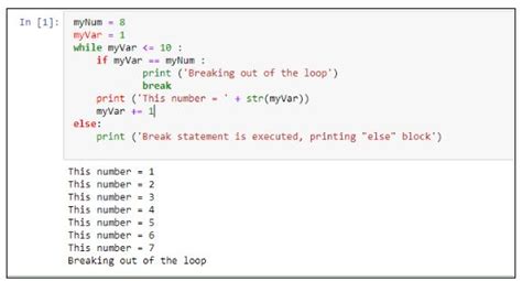 The Basics Of Python Loops