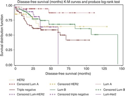 Kaplanmeier Survival Curves For Dfs In The Molecular Subtypes Of Ibca