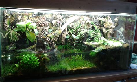 Paludarium Terrarium Vivarium Vivarium Terrarium Aquarium