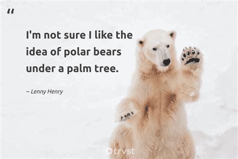 22 Polar Bear Quotes about the King of the Arctics