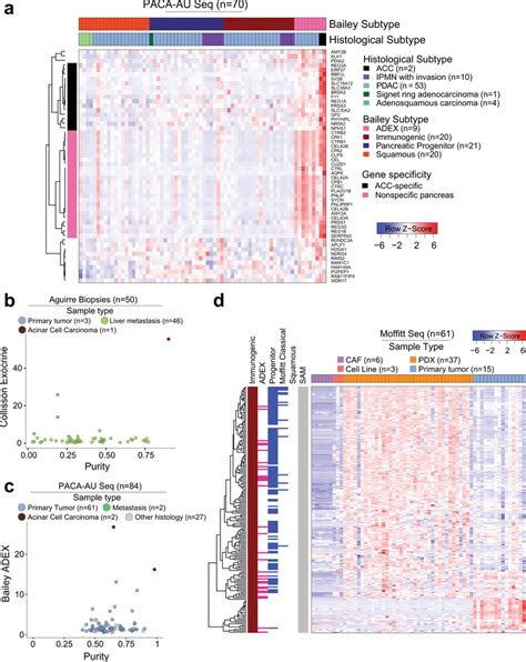 Subsets Of The Adex Exocrine And Immunogenic Gene Signatures Mark Download Scientific Diagram