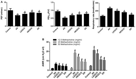 Epigallocatechin Gallate Improves Airway Inflammation Through Tgf