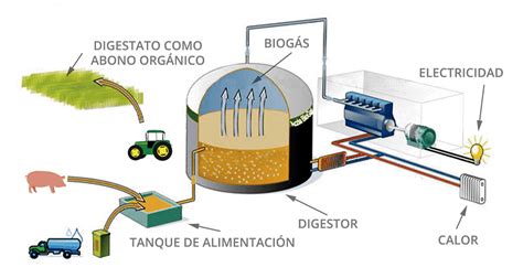 Biogas energía de futuro Soluciones Integrales de Combustión