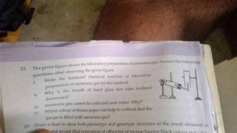 The Given Figure Shows The Laboratory Preparation Of Ammonia Gas Answer