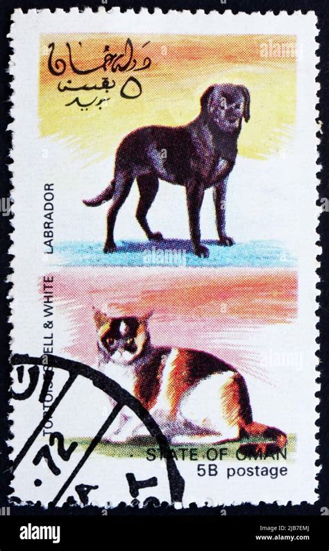 Oman Circa A Stamp Printed In The Oman Shows Tortoiseshell And