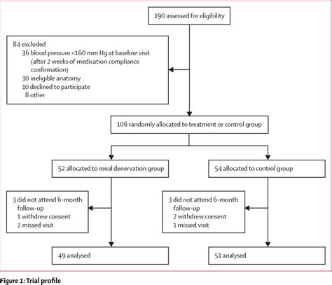 Figure 1 From Renal Sympathetic Denervation In Patients With Treatment Resistant Hypertension