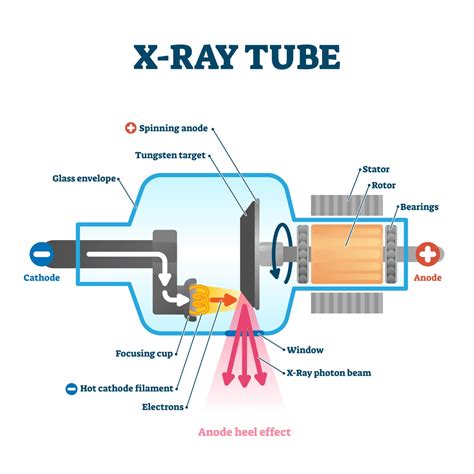 What is X-ray Irradiation? Industrial Uses & Benefits | Pulstec