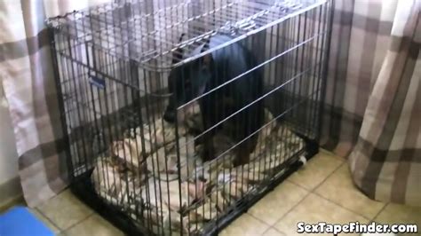 Janice Gets Tits Out In POV While Gobbling Cock