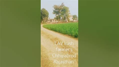lav kush farm house youtube