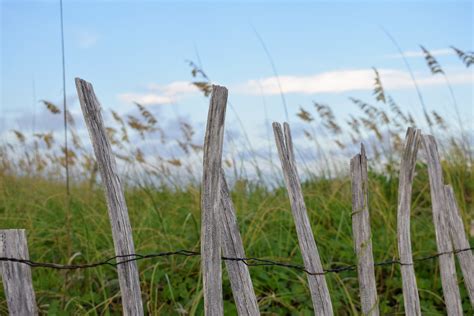 Emerald Isle Travel Guide: Best of Emerald Isle, North Carolina Travel