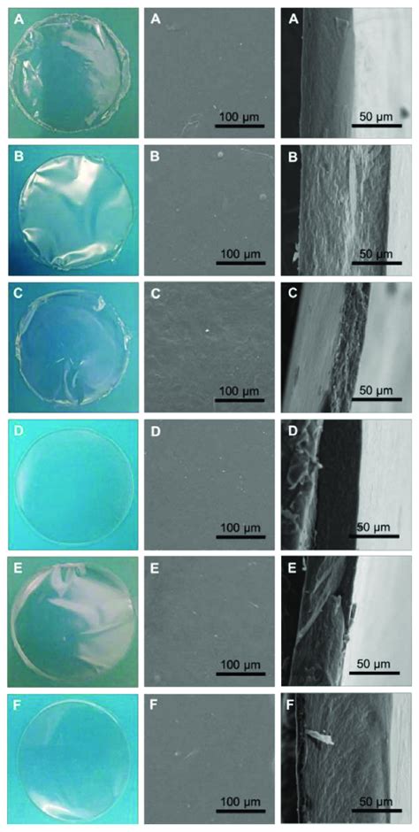 Photographs Of The Films Prepared With Alteromonas Epss A F Left