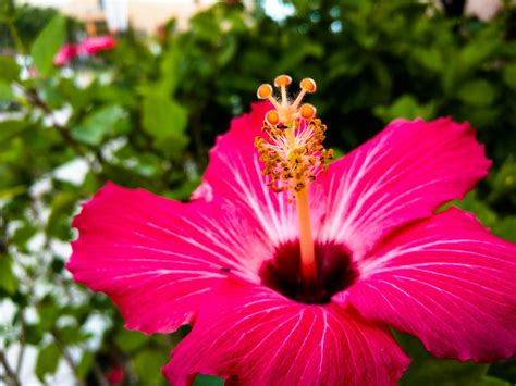 The Robert and janet vackar stadium utrgv undergoes massive expansion 7