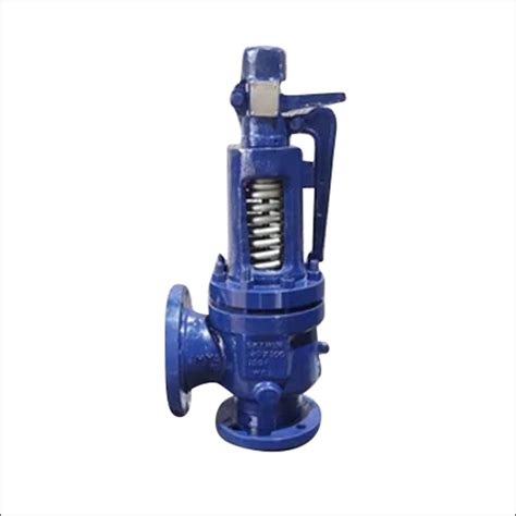 Carbon Steel Water Pressure Relief Valve At 600000 Inr In Ahmedabad Skywin Valve Private Limited