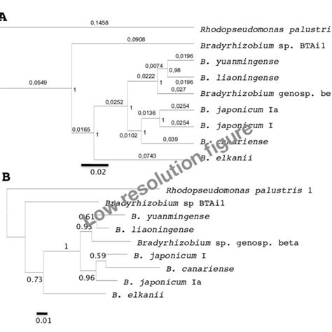 5 Comparison Of The Species Trees Estimated By The Best A And Phyml